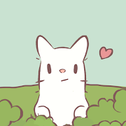 CATS & SOUP